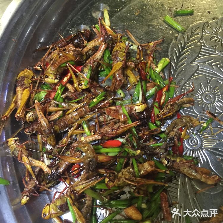 我在柬埔寨吃的各种虫子