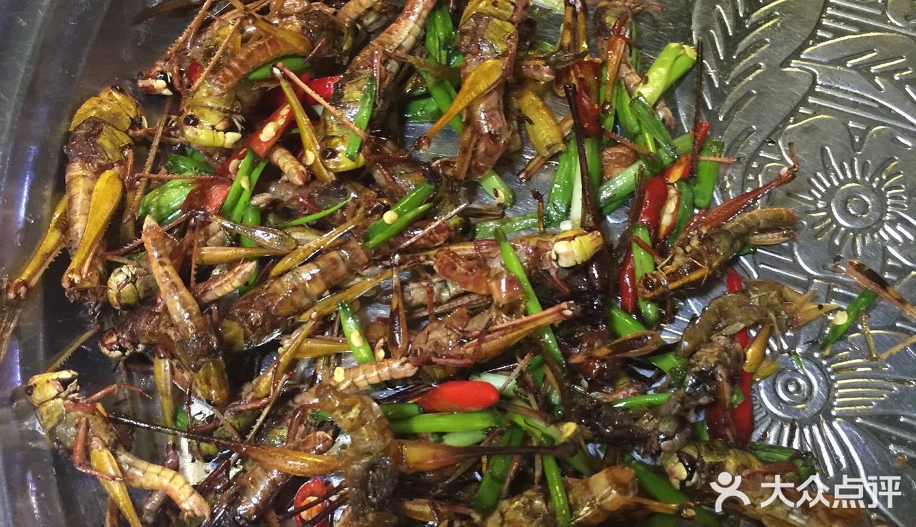 我在柬埔寨吃的各种虫子