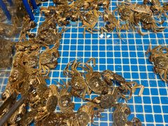 -半岛听涛蒸汽海鲜自助(K11店)