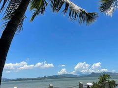 -深圳湾公园(南山区)