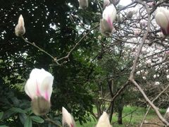 -贵阳市花溪国家城市湿地公园
