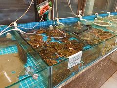 -渡海小渔村.老辈日照菜
