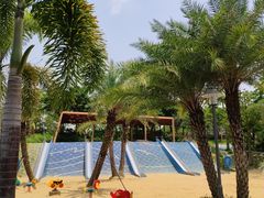 -宝安西湾红树林湿地公园