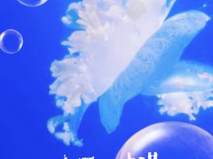 -泉城欧乐堡海洋极地世界