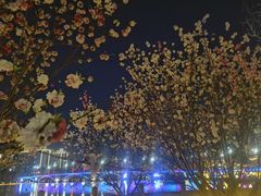 -凤城河风景区