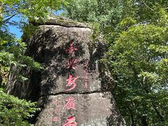 -汤旺河林海奇石景区