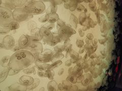 -沈阳海洋探索中心