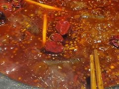 -孙毛肚火锅(春熙路店)
