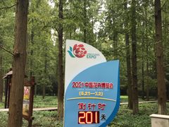 -东平国家森林公园