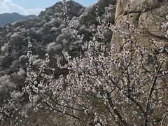 -北京凤凰岭