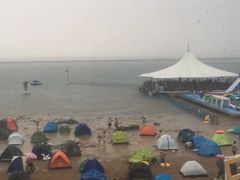 -碧海金沙