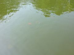 -渤海大学(松山校区)
