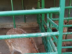 -瑞博尔花园酒店(太周创新产业园店)