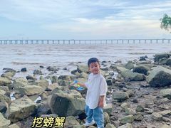 -宝安西湾红树林湿地公园