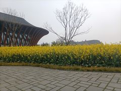 -中国天府农业博览园