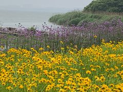 -旺山·浪头人家