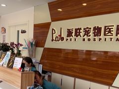 -派联宠物医院·24h·CT·异宠
