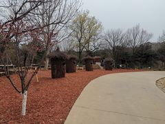 -北京西山国家森林公园