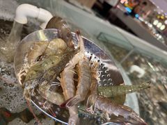 -藜爱·山海情海鲜自助(万达广场店)