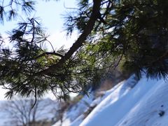 -华山风景名胜区
