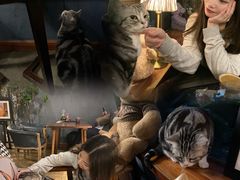 -咖法森林·咖啡  酒吧(天河店)