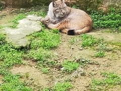 -宁波野生动物园