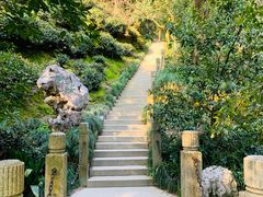 -十八棵（老龙井）御茶园(老龙井店)