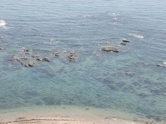 -燕窝岭