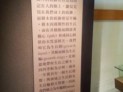 -阿里山神木遗迹