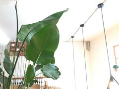 -长颈鹿咖啡(大学路店)