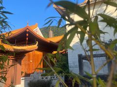 -深圳仙湖植物园