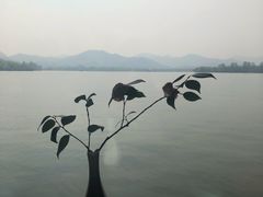 -柳莺湖上·湖景餐厅·江南菜(西湖店)