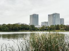 -美兰湖景区