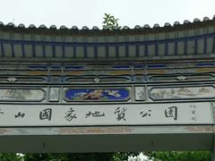 -阳台山自然风景区