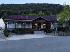 -呼吸森林·生态农庄农家乐私房菜