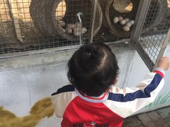 -晶宝温泉农庄