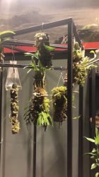 -周忆刺青原创设计定制