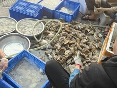 -花苑美食横琴生蚝火锅(拱北粤华路店)