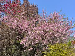 -木塔寺遗址生态公园