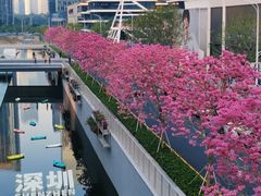 -深圳湾万象城(南山店)