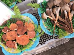 -佳缘野生菌食府