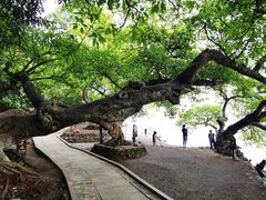 -抚仙湖禄充风景区