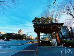 -名古屋城