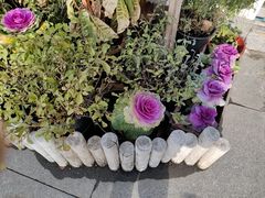 -FEI FEI FLOWER鲜花店·气球派对·宝宝宴布置(虹口德必运动Loft店)