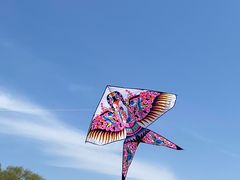 -野鸭湖国家湿地公园