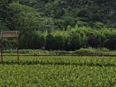 -高荡千年布依古寨旅游景区
