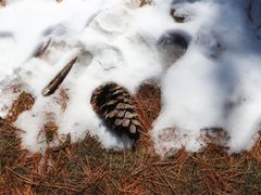 -康定跑马山风景区