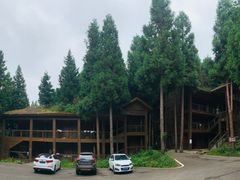 -武陵山森林公园