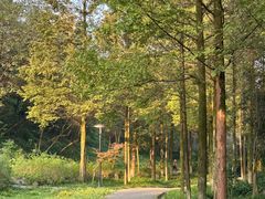 -重庆彩云湖湿地公园