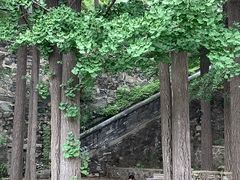 -阳台山自然风景区